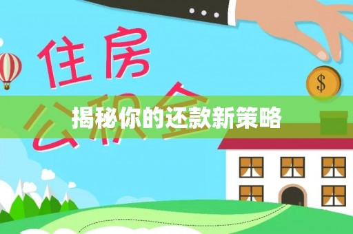 清河门揭秘你的还款新策略